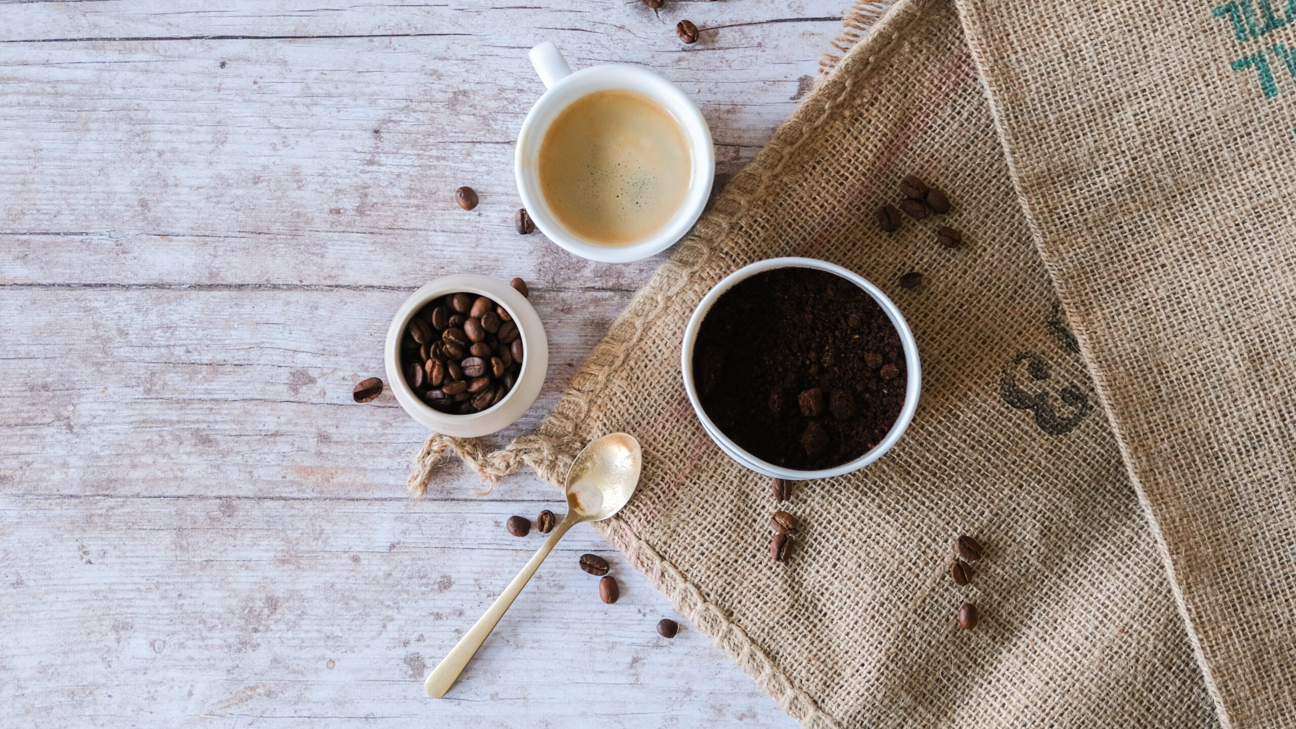 Grains de café, marc de café et terre
